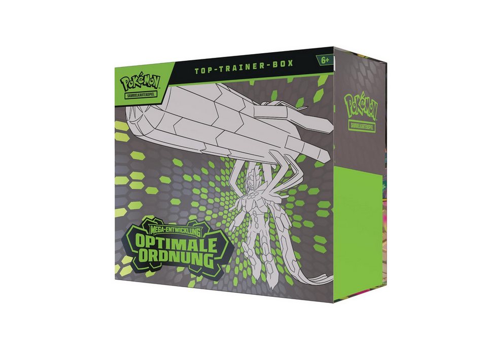 Optimale Ordnung Top-Trainer-Box