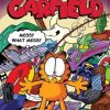 Garfield - PS2