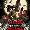 Ninja Assaut PS2