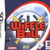 Wiffle Ball - DS