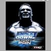 Smackdown Here comes the pain - PS2