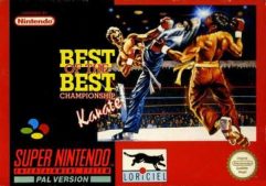 Best of the Best Championship Karate (Modul) - SNES